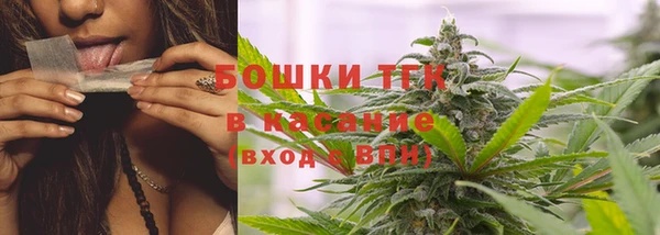 дмт Инсар