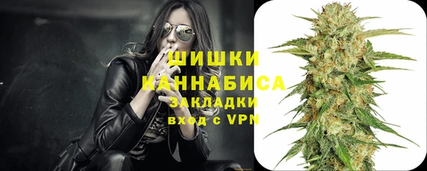 скорость Каменногорск