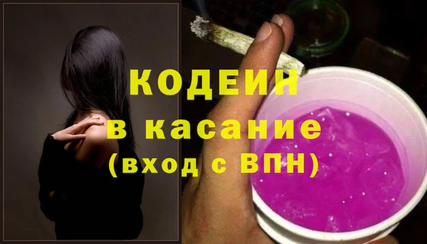 дмт Инсар