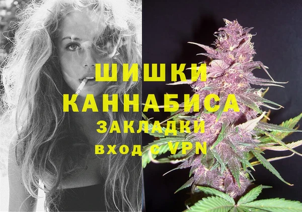 дмт Инсар