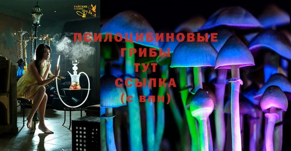 марки lsd Инта