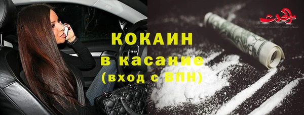 дмт Инсар