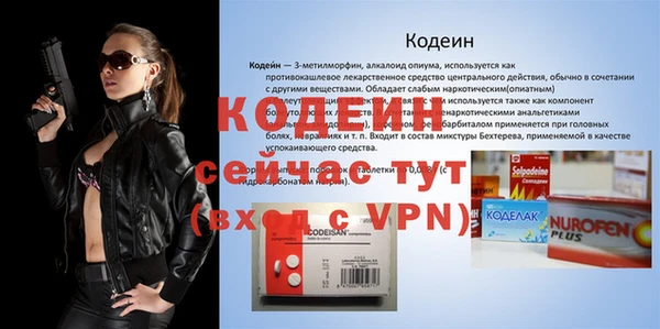 дмт Инсар