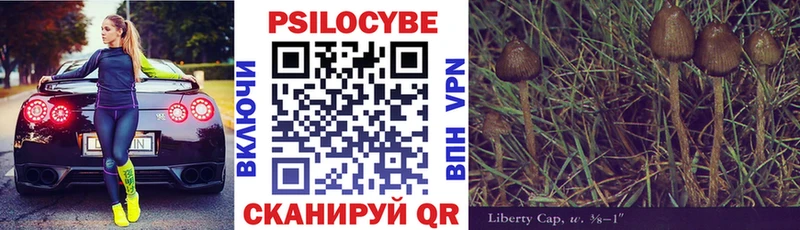 Галлюциногенные грибы Cubensis  mega как войти  Кировград 